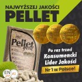 gold zdjęcie 1.jpg